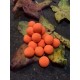 12mm GLM-Orange